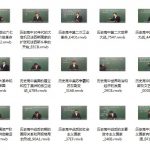 黄冈中学人教版高中历史视频教程