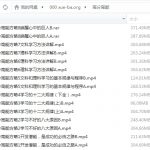 [视频教程]四快高分高能方略