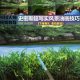 清迈克尔·史密斯超写实风景油画视频教程油画学习素材1