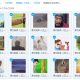 部编版新人教版1-6年级语文上册课文朗读音频+视频百度云网盘下载