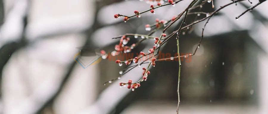 初中语文各年级古诗文默写大汇总！含部编版新增教材