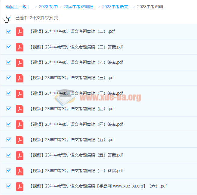 2023中考语文密训班 宋北平 2022+2023中考语文密训卷第2张 - 学霸网 2023中考语文密训班 宋北平 2022+2023中考语文密训卷