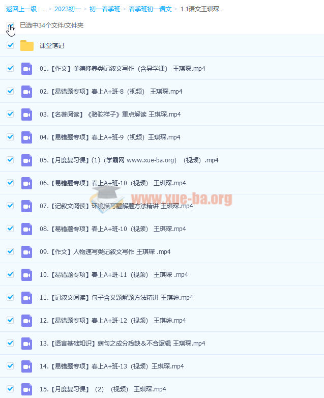 2023 初一语文 王琪琛 春季班第1张 - 学霸网 2023 初一语文 王琪琛 春季班