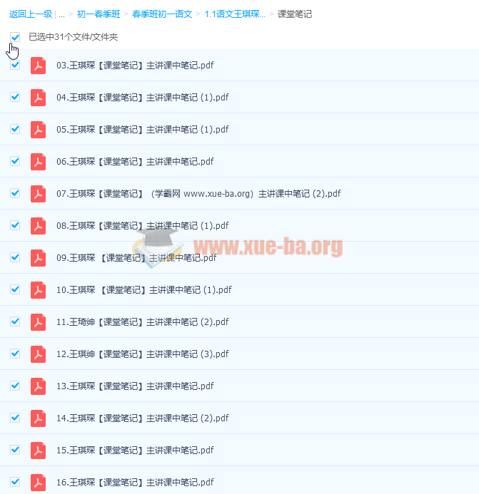 2023 初一语文 王琪琛 春季班第2张 - 学霸网 2023 初一语文 王琪琛 春季班