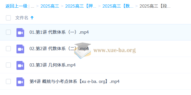 段俊逸 2025高三高考数学 点睛班 百度网盘第1张 - 学霸网
