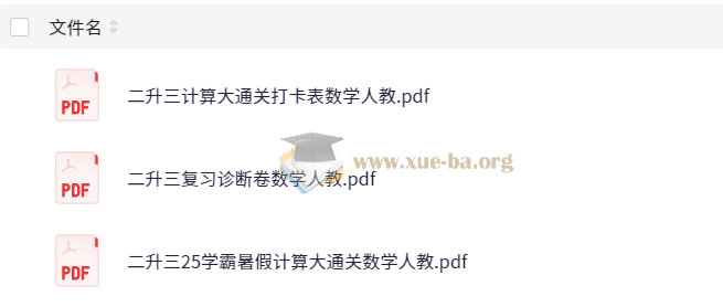 学霸的暑假 小学数学 计算暑期大通关 人教版 25春 夸克网盘第2张 - 学霸网