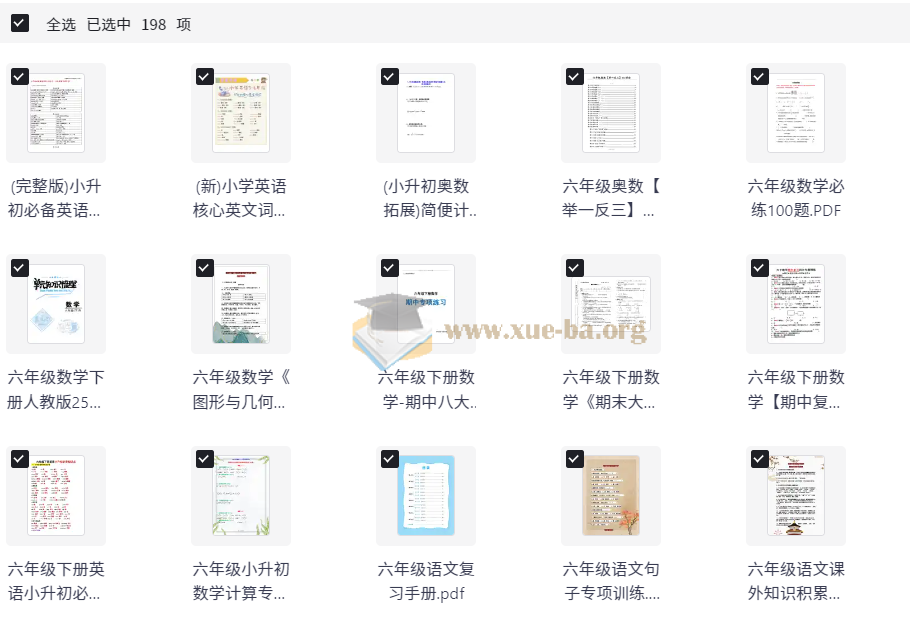 小学六年级 小升初资料大全第1张 - 学霸网