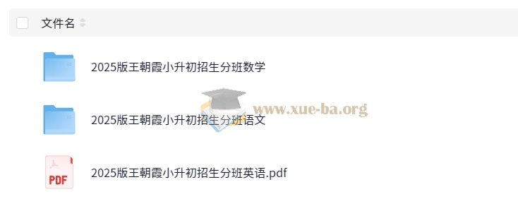 小升初 重点校毕业升学招生分班卷 语数英第1张 - 学霸网