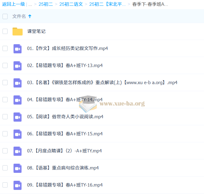 2024-2025 初二语文 宋北平 A+ 暑假 秋季 寒假 春季班 百度网盘第1张 - 学霸网