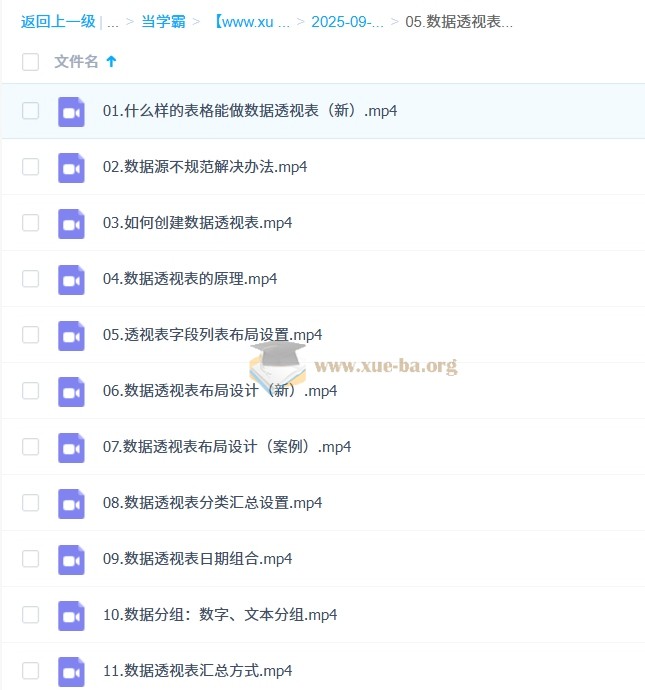 Excel全方位技能课 含基础操作、函数公式、数据透视、图表、AI应用等第4张 - 学霸网