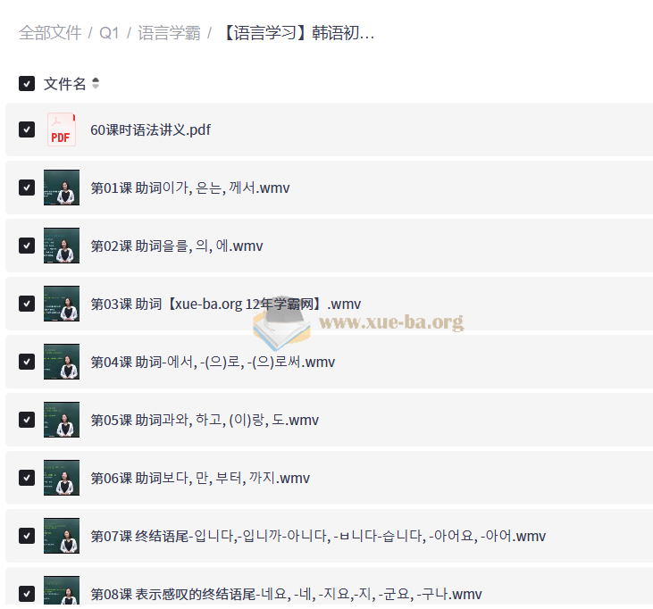 韩语初中级语法.60课时【8.48 GB】第1张 - 学霸网