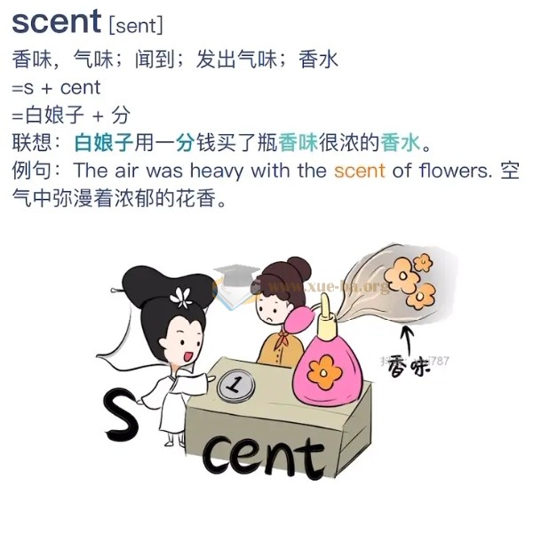 西西单词速记课堂资料合集320节课完整版 1200基础词汇+4300考研词汇+6000词根+四六级+课件等第4张 - 学霸网