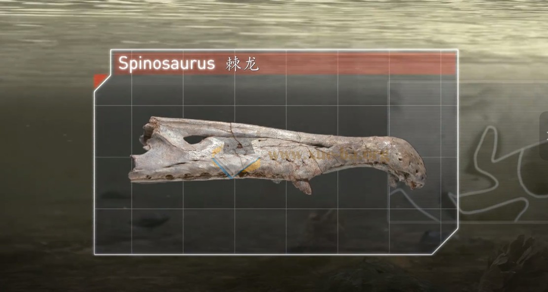 3-8岁必看纪录片|儿童启蒙精选|64.3GB高清合集第1张 - 学霸网