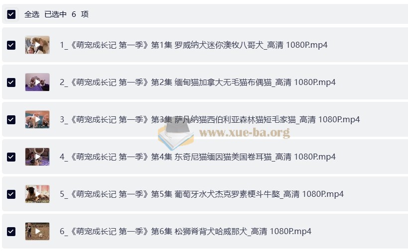 央视力荐儿童纪录片-萌宠成长记1-3季合集第4张 - 学霸网