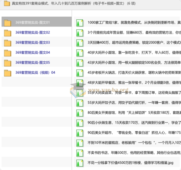 真实有效391套商业模式,年入几十到几百万案例解析(电子书+视频+图文)第1张 - 学霸网