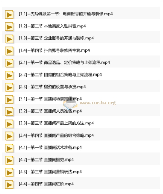 抖音AI直播精英流量特训营 全域流量变现实战全课第1张 - 学霸网