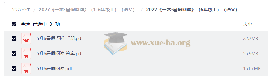 2027 一本•暑假阅读 (2-6年级上)(语文)第3张 - 学霸网