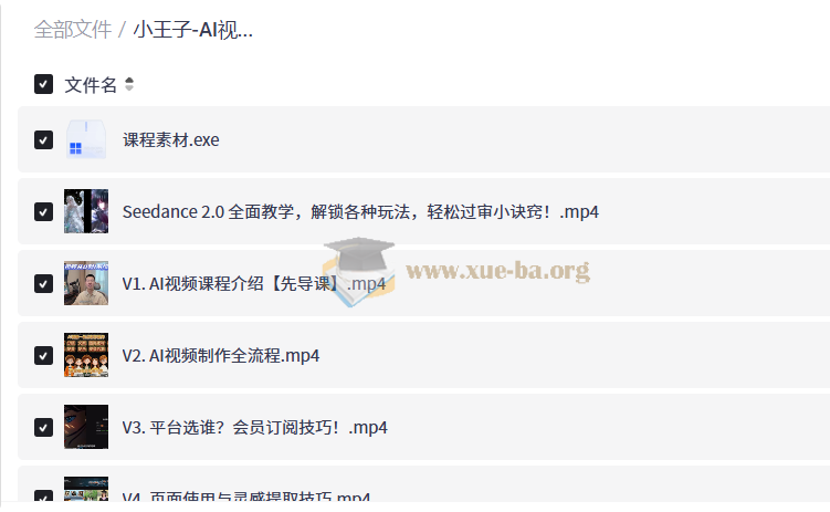 小王子 AI视频从0到1系统课第1张 - 学霸网