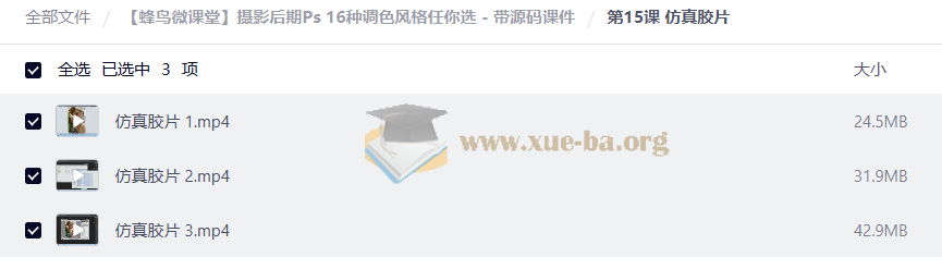 【蜂鸟微课堂】摄影后期Ps 16种调色风格任你选 - 带源码课件第3张 - 学霸网