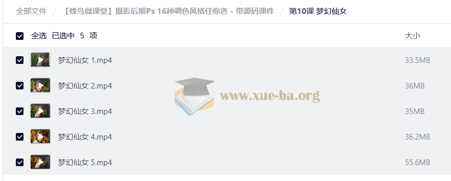 【蜂鸟微课堂】摄影后期Ps 16种调色风格任你选 - 带源码课件第4张 - 学霸网