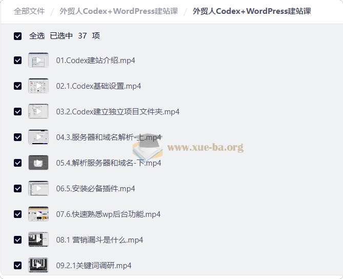 外贸人Codex+WordPress建站课第1张 - 学霸网