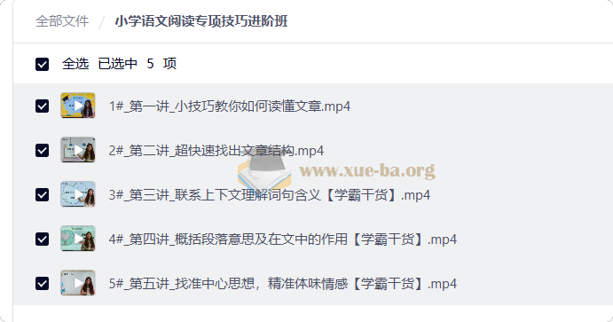 小学语文阅读专项技巧进阶班第1张 - 学霸网