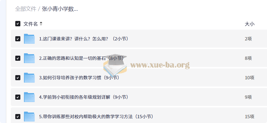 张小青小学数学规划课,京城名师系统讲解学习方法与提分策略第1张 - 学霸网