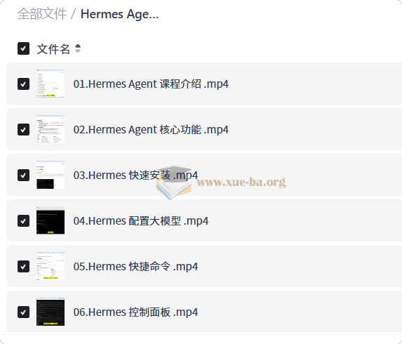 Hermes Agent智能体全维度实战课程