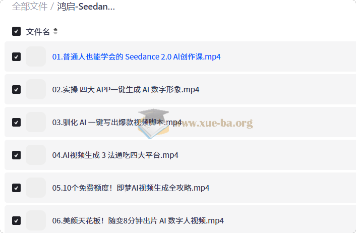 鸿启 Seedance2.0超级个体训练营第1张 - 学霸网