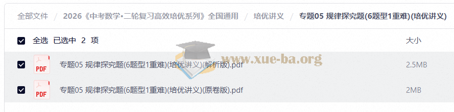 2026 中考数学 二轮复习高效培优系列 全国通用第3张 - 学霸网