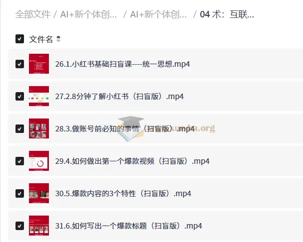 AI+新个体创业必修课第2张 - 学霸网