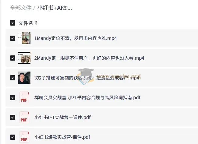 小红书+AI变现实战营
