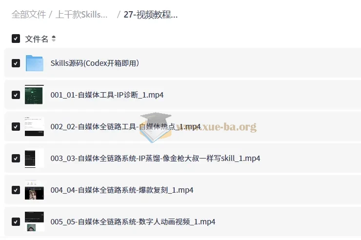 上千款Skills技能合集包,一站式技能进阶资源库第5张 - 学霸网