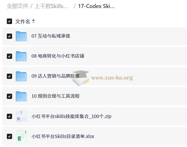 上千款Skills技能合集包,一站式技能进阶资源库第7张 - 学霸网