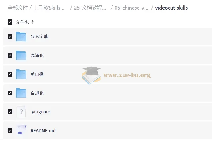 上千款Skills技能合集包,一站式技能进阶资源库第9张 - 学霸网