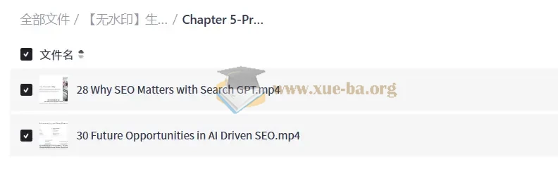 生成式引擎优化(GEO)实战课 搞定SearchGPT,让AI主动找你的内容第3张 - 学霸网